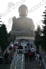 Big Buddha (Tiantan Da Fo) Statue on Lantau in Hong Kong