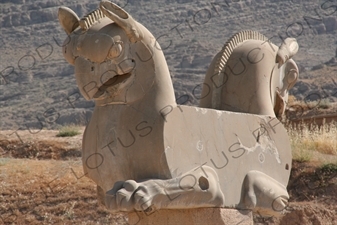 Double Headed Griffin Protome Capital at Persepolis