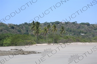 Playa Guiones in Nosara