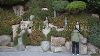 Small Stone Statues Hidden in the Hedges at the Haedong Yonggung Temple (Haedong Yonggungsa) in Busan