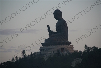 Big Buddha (Tiantan Da Fo) Statue on Lantau in Hong Kong