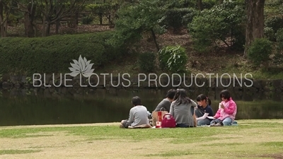 Kitanomaru Park/Garden Picnic in Tokyo