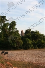 Pre Rup in Angkor Archaeological Park