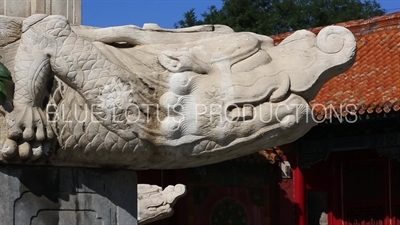 Dragon Water Spout in the Forbidden City in Beijing