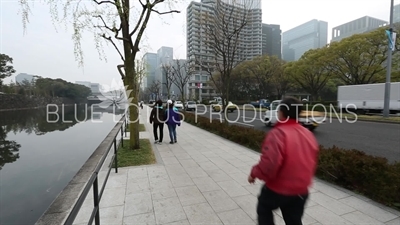 Tokyo Imperial Palace (Kokyu) Uchibori Dori and Tatsumi Keep (Tatsumi-yagura)