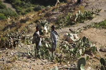 Children Playing along the Asmara to Massawa Railway Line