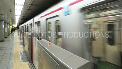 Tokyo Metro Station