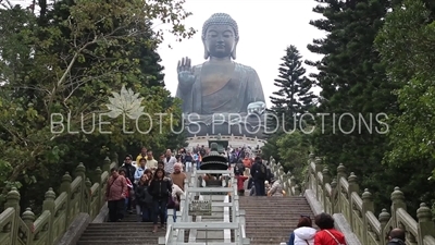 Tian Tan/Big Buddha on Lantau Island