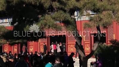 Hall of the Wheel of the Law (Falun Dian) in the Lama Temple in Beijing