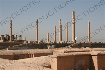 Apadana and Tachara Palaces at Persepolis