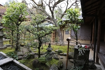 Garden in Korin-in in the Daitoku-ji Complex in Kyoto