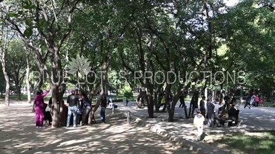 Playing Cards in the Temple of the Sun Park (Ritan Gongyuan) in Beijing