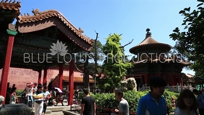 Pavilion of Floating Green (Fubi Ting) and the Pavilion of Ten Thousand Springs (Wan Chun Ting) in the Forbidden City in Beijing
