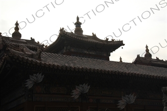 Hall of the Wheel of the Law (Falun Dian) Roof in the Lama Temple in Beijing