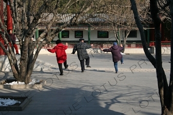 Tai Qi Practitioners in Zhongshan Park in Beijing