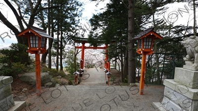 Torii at the Entrance to Arakura Sengen Shrine