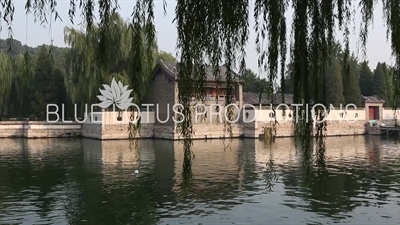 Man Swimming in Kunming Lake (Kunming Hu) in the Summer Palace in Beijing