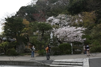 Tourists in Kencho-ji in Kamakura