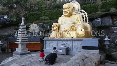 People Praying to Gold Laughing Buddha/Fat Buddha (Podae/Budai/Hotei) Statue at Haedong Yonggung Temple (Haedong Yonggungsa) in Busan