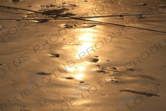 Sun Reflecting off a Frozen Kunming Lake in the Summer Palace in Beijing