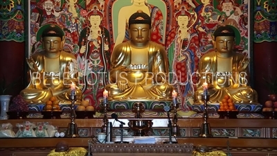 Statues of the Three Buddhas/Buddhas of the Past, Present and Future at the Haedong Yonggung Temple (Haedong Yonggungsa) in Busan