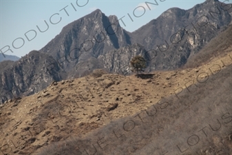 Hills around the Mutianyu Section of the Great Wall of China (Wanli Changcheng) near Beijing