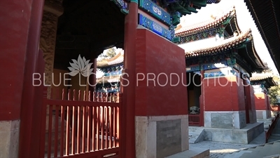 Stone Tablet Housing Pavilions (Beiting) in the Confucius Temple in Beijing