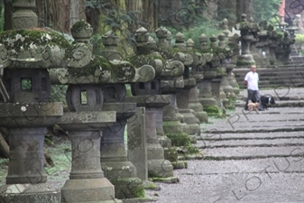 Stone Lanterns at Fujiyoshida Sengen Shrine in Fujiyoshida