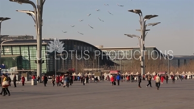 The Fan (Guojia Tiyuguan/Shanzi) and the China National Convention Centre/Olympic Green Convention Centre (Guojia Huiyi Zongxin) in the Olympic Park in Beijing