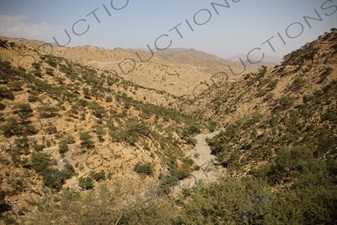 Countryside around the Asmara to Massawa Railway Line