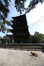 Goju-no-to (Five Storied Pagoda) at Himuro Jinja in Nara