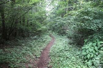 Yoshida Trail to Mount Fuji