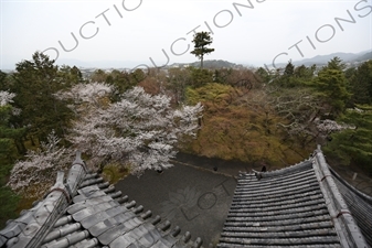 Grounds of Nanzen-ji in Kyoto