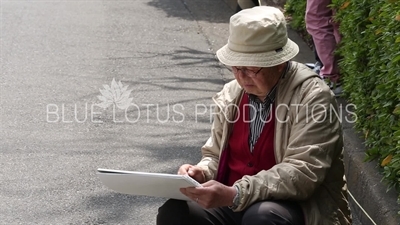 Kitanomaru Park/Garden Artist in Tokyo