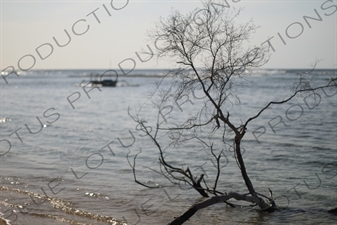 Beach on Gili Meno