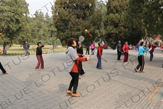 People Practising Taiji Bailong Ball/Taiji Rouli Qiu near the North Gate of the Temple of Heaven (Tiantan) in Beijing