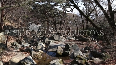 Stream at Entrance to Beomeosa Temple in Busan