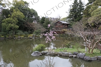 Shusui-tei Tea House in Kyoto Gyoen/Imperial Palace Park in Kyoto