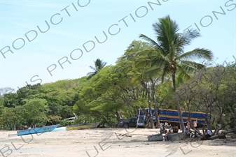 Playa Guiones in Nosara