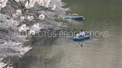 Tokyo Imperial Palace (Kokyu) Chidorigafuchi Moat Row Boats