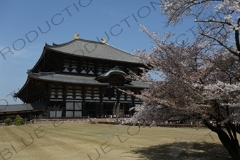 Big Buddha Hall (Daibutsuden) of Todaiji in Nara