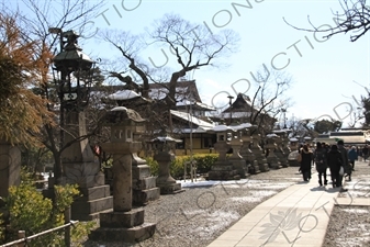 Stone Lanterns in Zenko-ji in Nagano