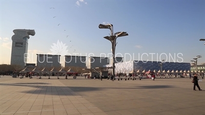 Kite Flying in front of the Beijing National Aquatics Centre/Water Cube (Guojia Youyong Zhongxin/Shuili Fang) in the Olympic Park in Beijing