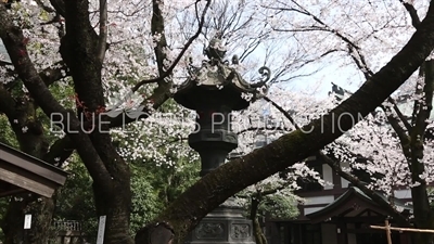 Yasukuni Shrine (Yasukuni-jinja) Stone Lantern in Tokyo