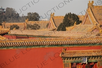 Forbidden City Roofs/Roove and Zhoushang Pavilion (Zhoushang Ting) in Jingshan Park in Beijing