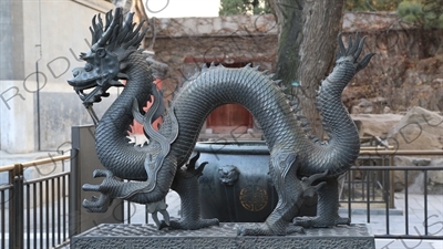 Dragon Statue outside the Hall of Benevolence and Longevity (Renshoudian) in the Summer Palace in Beijing