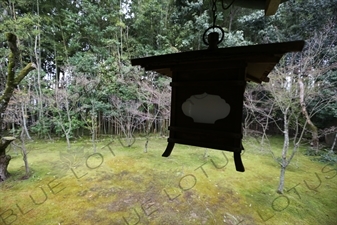 Lantern Hanging in the garden in Koto-in in Daitoku-ji in Kyoto