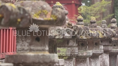 Stone Lanterns at Toshogu Shrine in Nikko