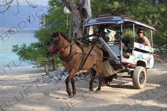 Horse and Cart on Gili Meno