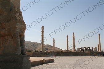 Apadana Palace at Persepolis